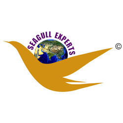 Seagull Experts Commercial Services Pvt. Ltd.