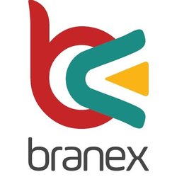 Branex-Web Design Agency In UK