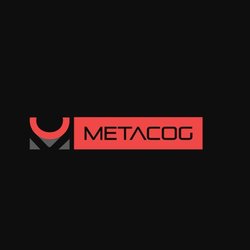 Metacog Patent Research Solutions Pvt Ltd