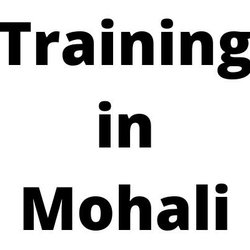 TraininginMohali.in