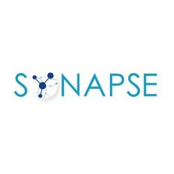 Synapse Information