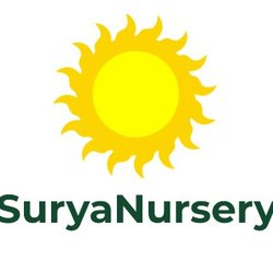 Surya Nursery