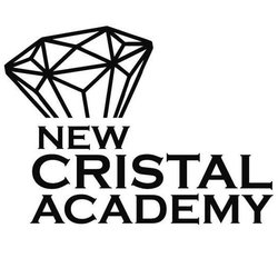 New Cristal Academy