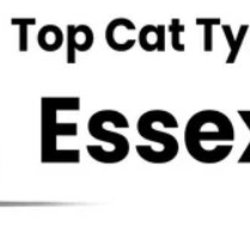 Top Cat Tyres Essex