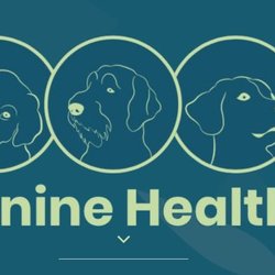 Canine Health