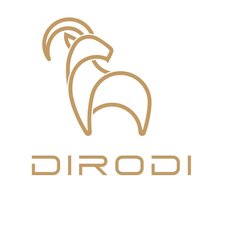 DiroDi Electric Bikes & Scooters