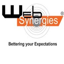 Web Synergies