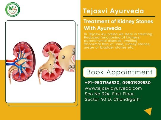 Kidney Stone Treatment with Ayurveda